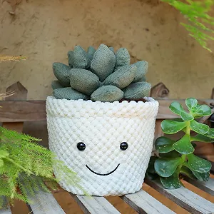 Іграшка Apricot Lamb Plush Plant Сукуленти Echeveria 20 см М'яка та миюча ціна на synthetic.ua - Фото 1 Іграшка Apricot Lamb Plush Plant Сукуленти Echeveria 20 см М'яка та миюча synthetic.ua - Фото 1