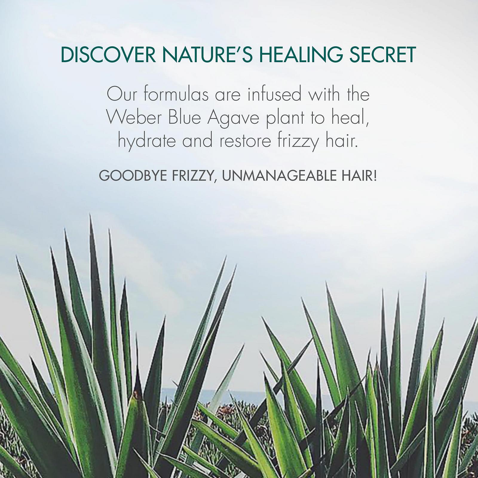 Шампунь Agave Healing Oil Clarify 250 гр, фото №4