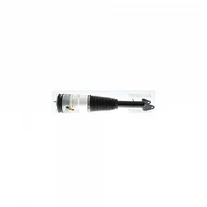 Пневмостійка TRISCAN 8720 81105 для TESLA, передній міст з обох сторін - Фото 1