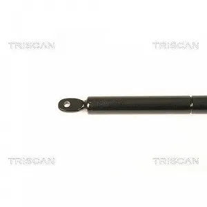 Газовая пружина багажника TRISCAN 8710 20201 PORSCHE, задняя часть автомобиля synthetic.ua - Фото 1