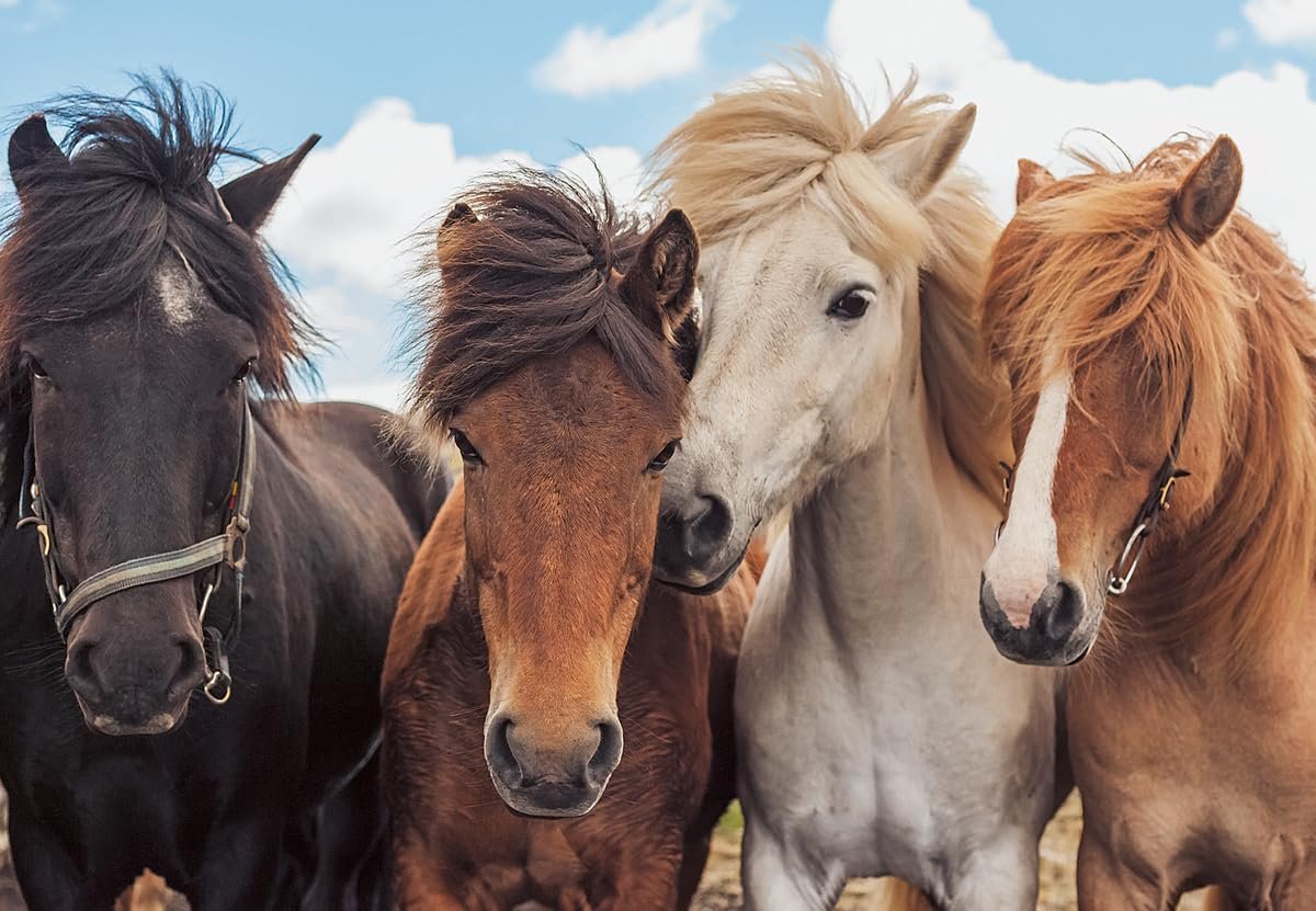 Дитячий пазл Ravensburger Horse Love 05148 2 x 24 елементи, фото №4