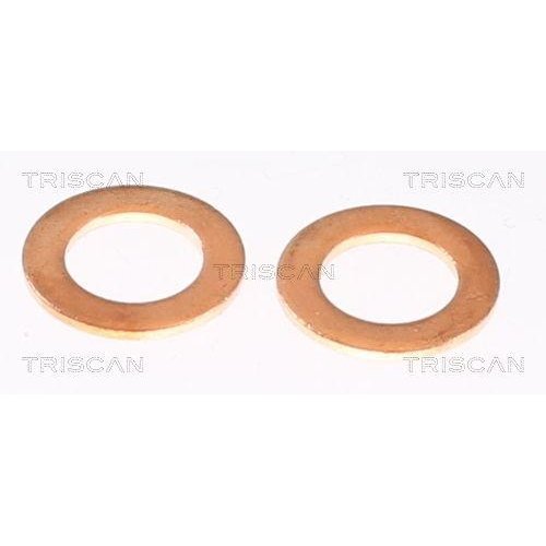 Гальмівний шланг TRISCAN 8150 432022 для HYUNDAI KIA, задня вісь справа, фото №4 Гальмівний шланг TRISCAN 8150 432022 для HYUNDAI KIA, задня вісь справа, фото №4