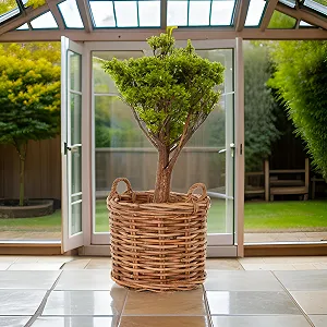 Корзина для растений XXL Натуральный ротанг Круглая с ручками Medium цена на synthetic.ua - Фото 1 Корзина для растений XXL Натуральный ротанг Круглая с ручками Medium synthetic.ua - Фото 1