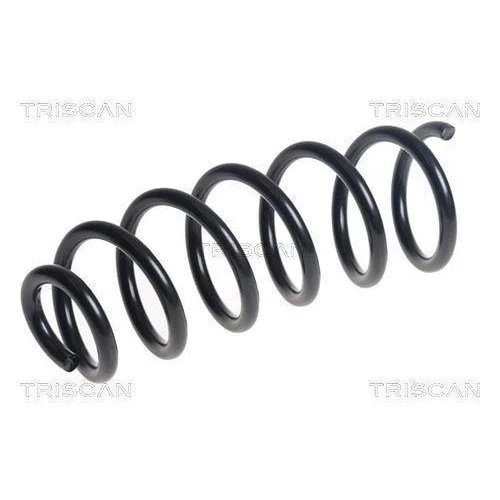 Пружина підвіски TRISCAN для DACIA, задня вісь, фото №2