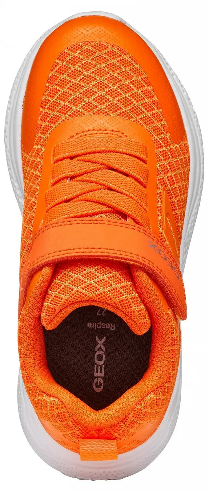 Кросівки Geox J Sprintye Boy A для хлопчиків, фото №5