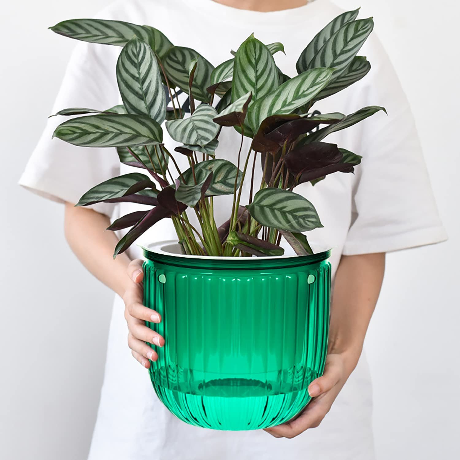 Набір підвісних вазонів з автополивом 2 шт. 16.5 см Зелений Прозорий ПЕТ, фото №7