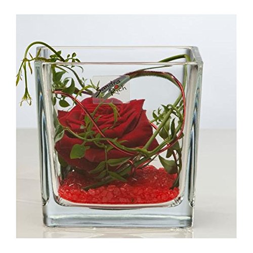 Підсвічник Sandra Rich Cube Вітряк Висота 12 см 12x12 см Скло Прозорий, фото №2 Підсвічник Sandra Rich Cube Вітряк Висота 12 см 12x12 см Скло Прозорий, фото №2