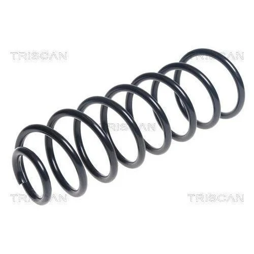 Пружина подвески TRISCAN 8750 6552, задняя ось, фото №2