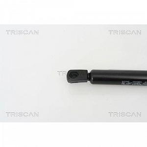 Газлифт багажника TRISCAN 8710 25232 для RENAULT synthetic.ua - Фото 1