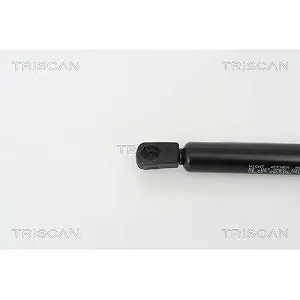 Газліфт багажника TRISCAN 8710 25232 для RENAULT synthetic.ua - Фото 1