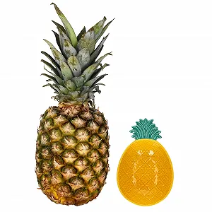 Миска MamboCat Pina Маленькая Миска с Ананасовым Рельефом synthetic.ua - Фото 1