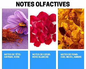 Парфюмированная вода BUSINESS SQUARE BS Ayat Paradise Mist 250 мл synthetic.ua - Фото 1