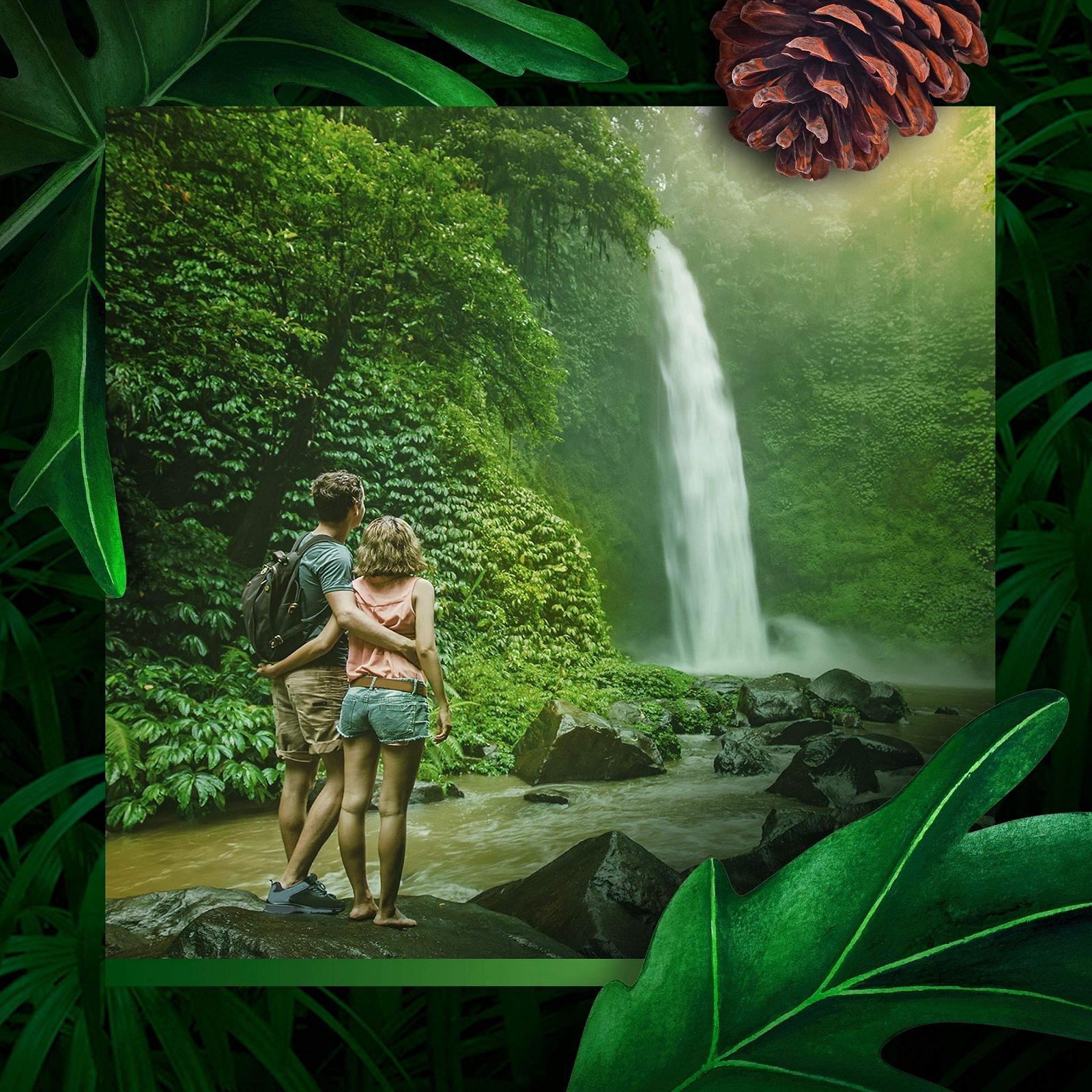 Гель для душа Axe Wild Mojito & Cedarwood 250 мл Упаковка 5 шт, фото №8