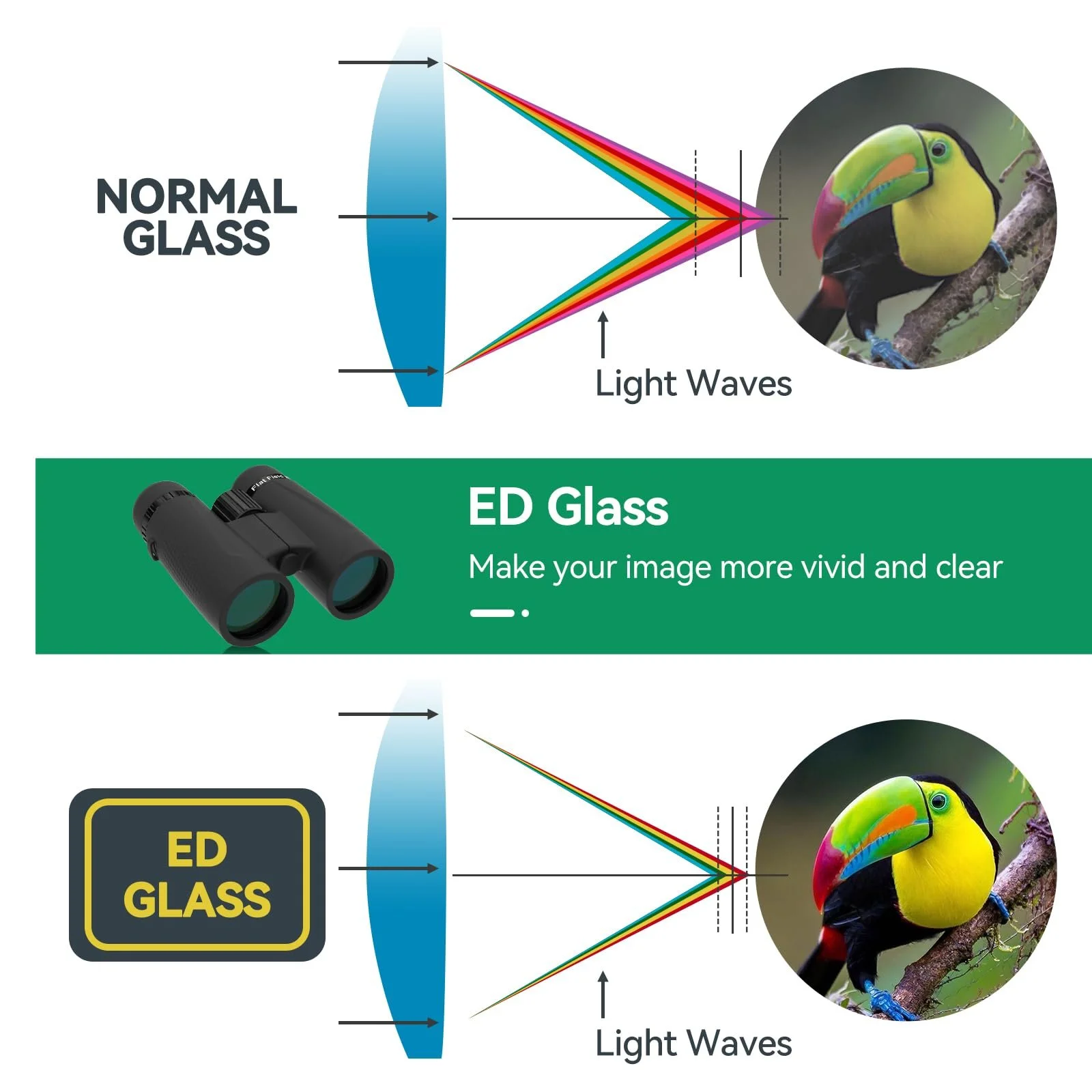 Бінокль Svbony SA205 8x42 ED Flat Field Correction Bak4 FMC, фото №3