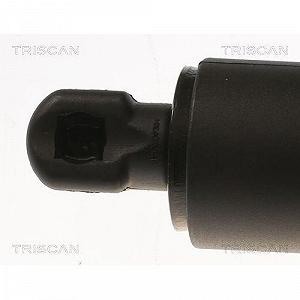 Газова пружина багажника TRISCAN 8710 81202 для TESLA synthetic.ua - Фото 1