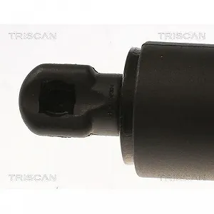 Газова пружина багажника TRISCAN 8710 81202 для TESLA synthetic.ua - Фото 1