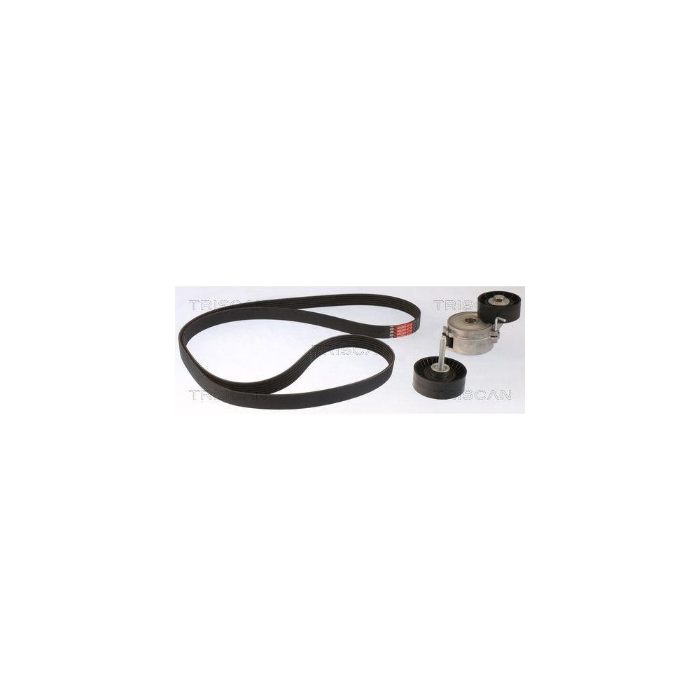 Комплект поліклинового паса TRISCAN 8642 16014 для FORD, фото №1