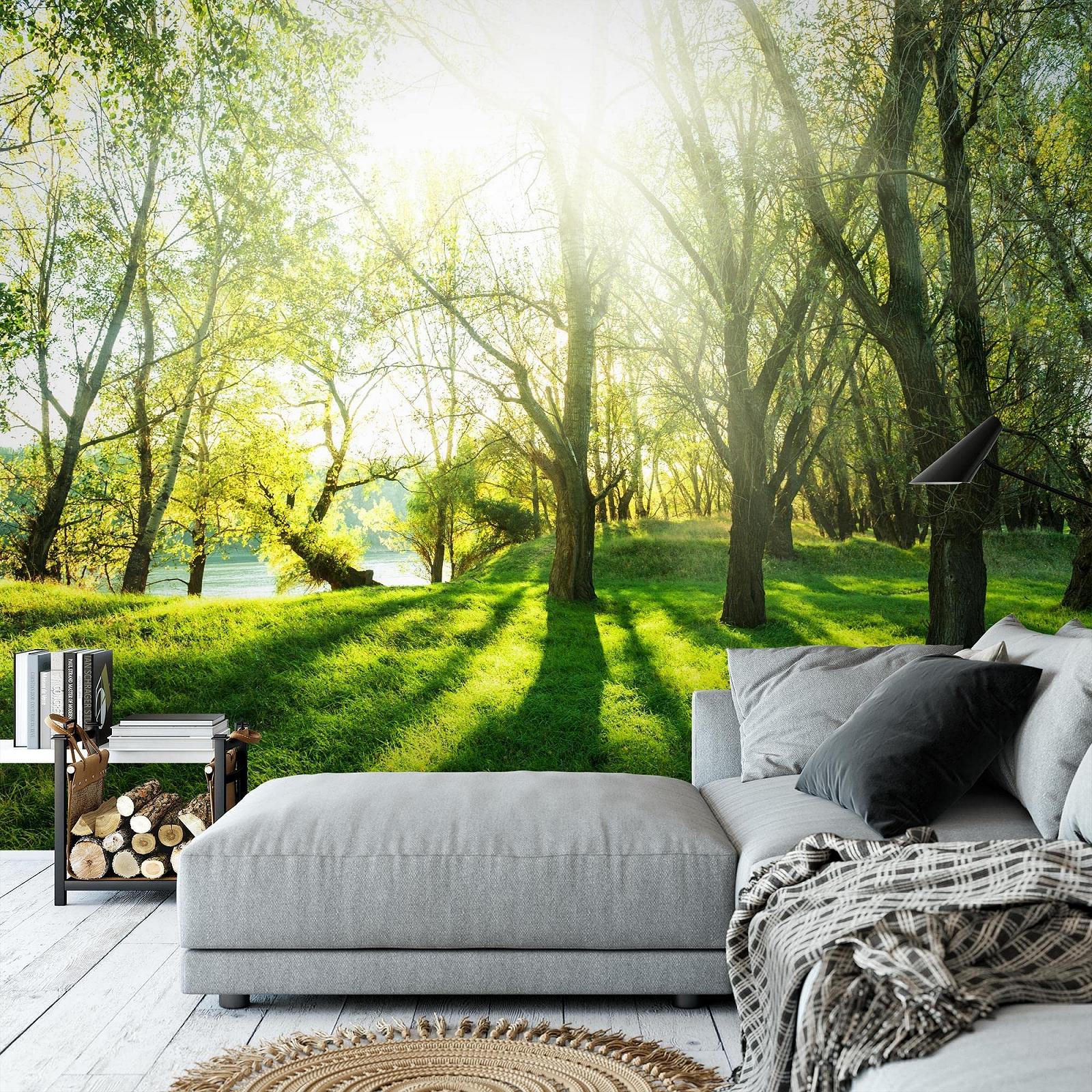 Фотообои Лес 9080012a 396 x 280 см Флизелиновые, фото №5 Фотообои Лес 9080012a 396 x 280 см Флизелиновые, фото №5