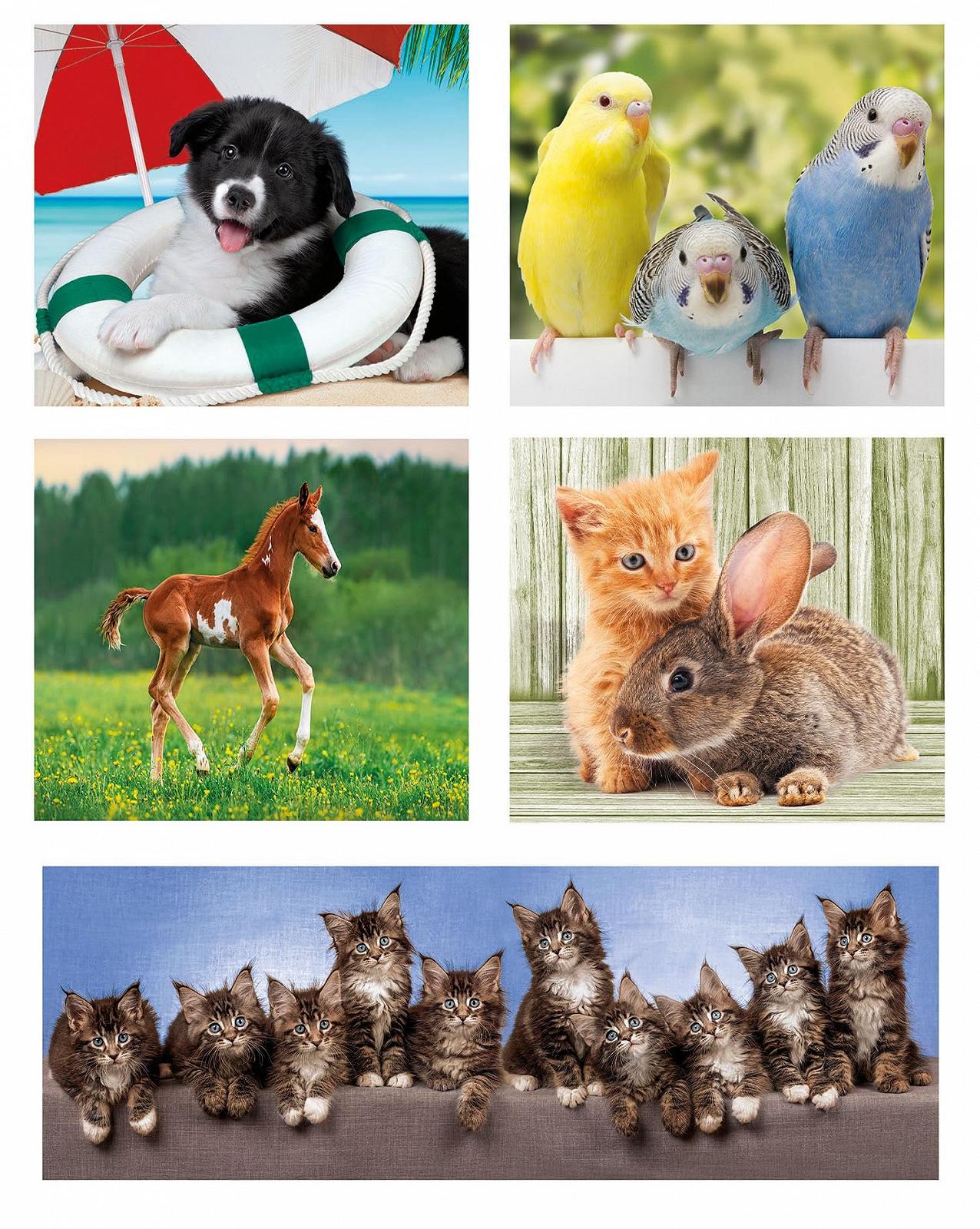 Набор пазлов Clementoni Animal Friends 20283 10-в-1 (3 x 18, 4 x 30, 2 x 48, 1 x 60 шт.) от 4 лет, фото №2