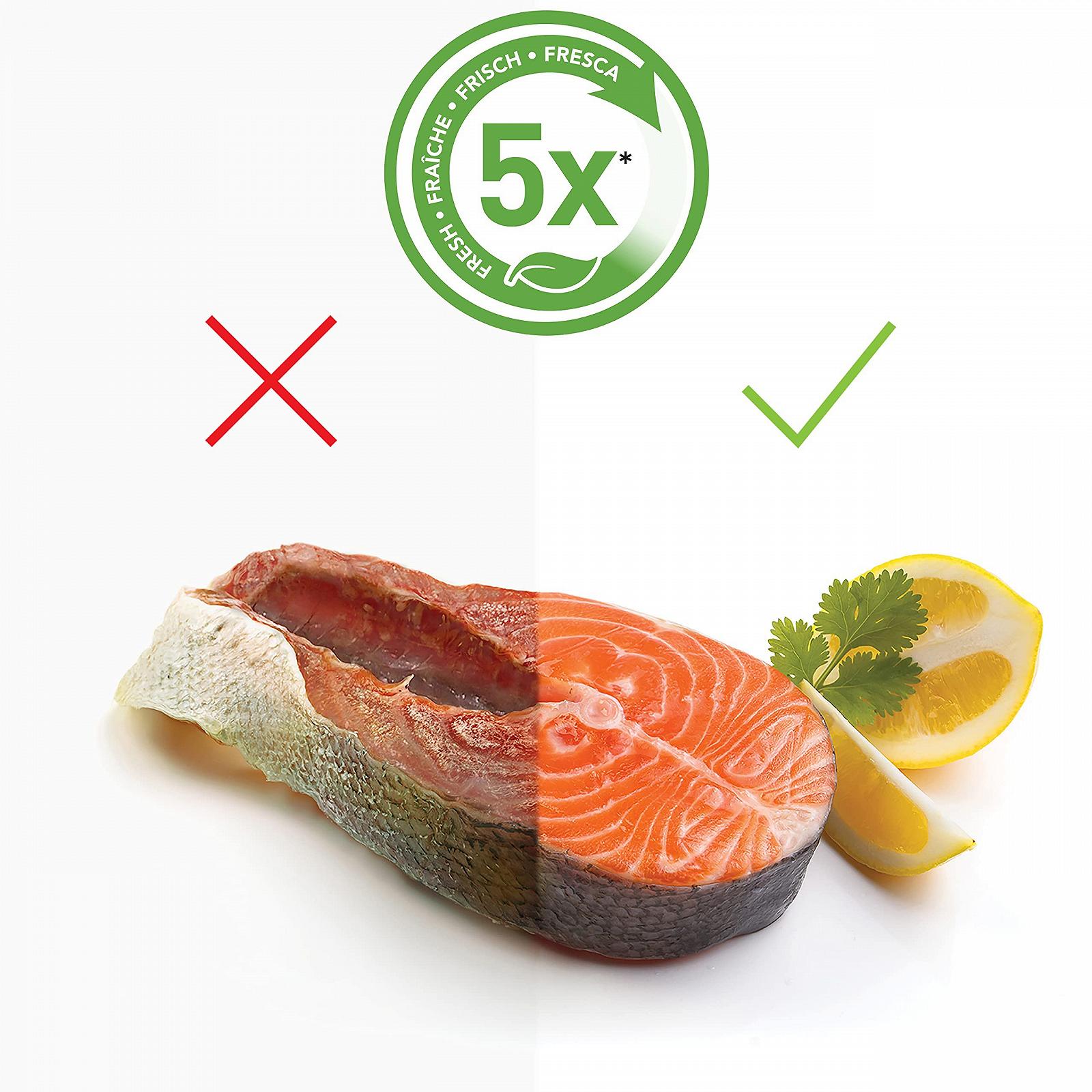 Вакуумний пакувальник FoodSaver Compact VS0100X Сріблястий з білими вставками, фото №4