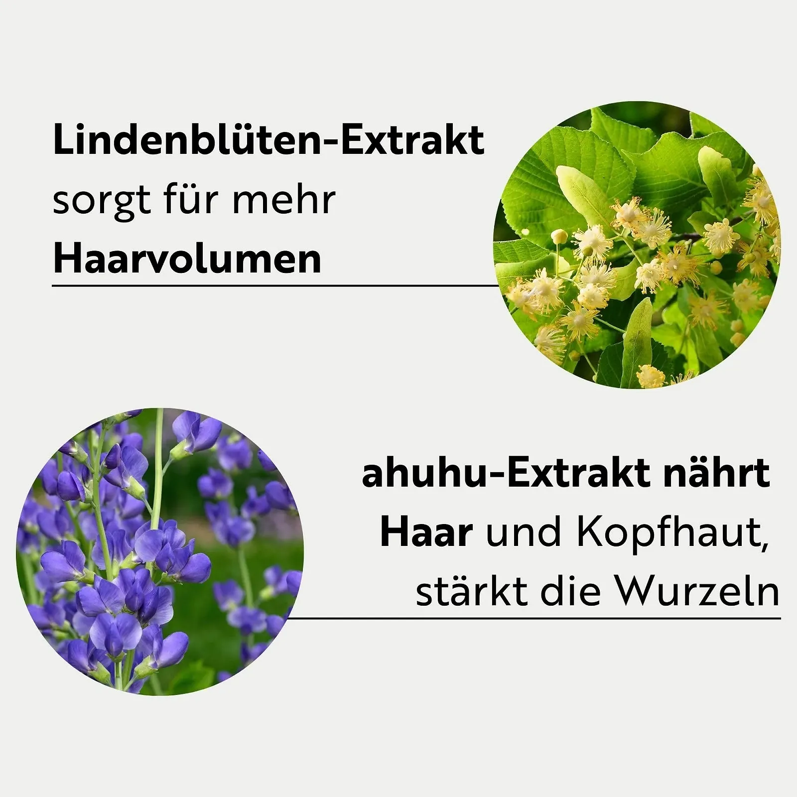 Шампунь Ahuhu Thickening Caffeine для густоты волос с органическим кофеином для более густых и сильных волос, активизирует кожу головы и корни волос, флакон изготовлен из 100% переработанного пластика, веганский, 200 мл, фото №4