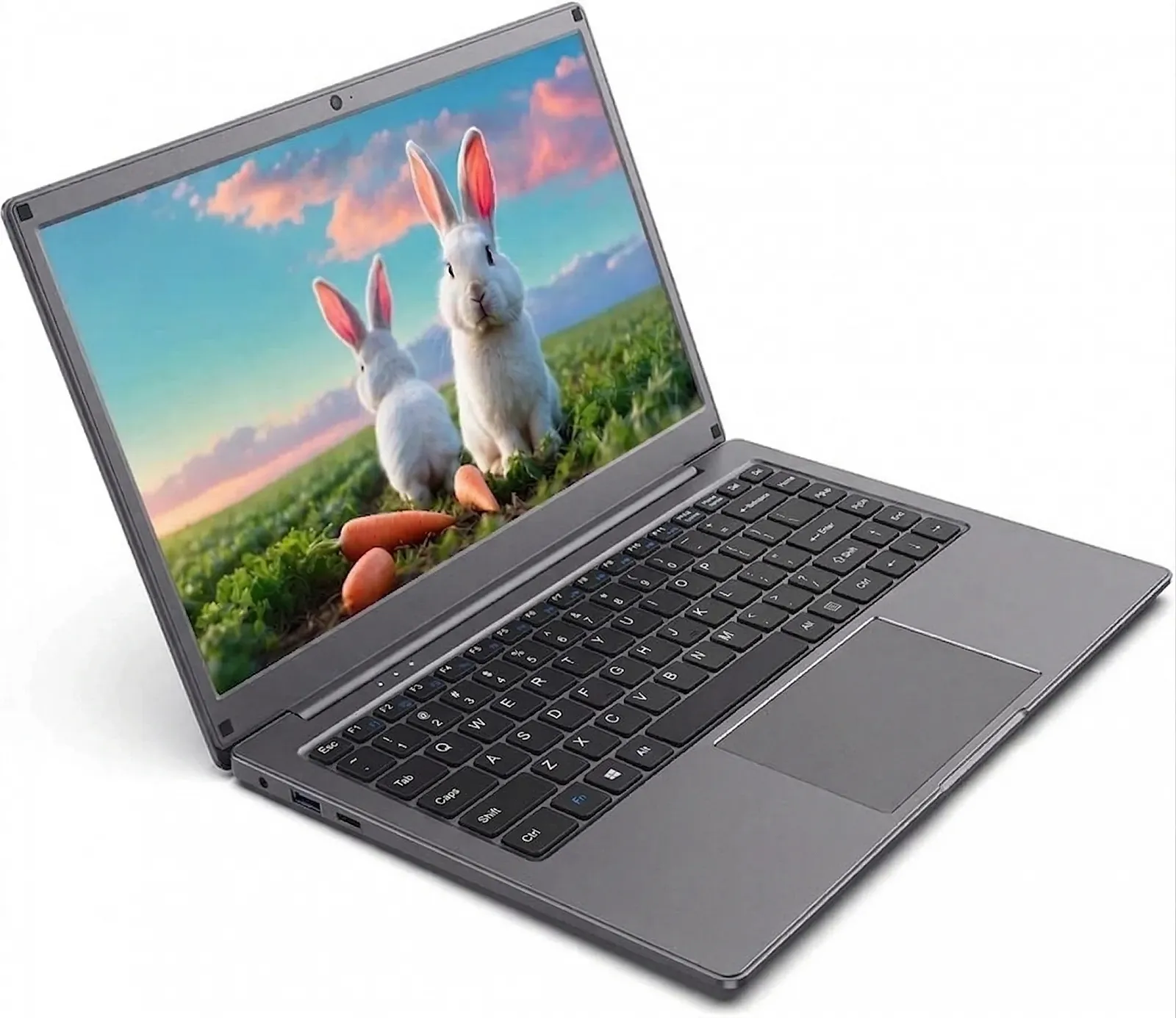 Ноутбук 14.1" Thomson Neo X 14 Intel Celeron N4020 RAM 4GB eMMC 64GB + SSD 128GB Win10 Алюмінієвий корпус (UKR), фото №2