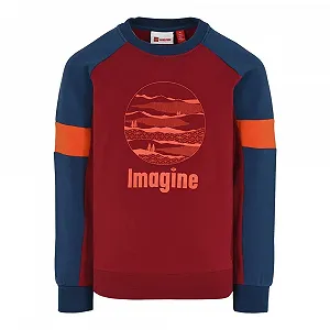 Толстовка LEGO Unisex Wear для хлопчиків - Фото 1