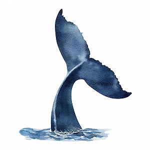 Наклейка на стіну GRAZDesign Whale Maritime 67 x 57 см Різнокольорова synthetic.ua - Фото 1