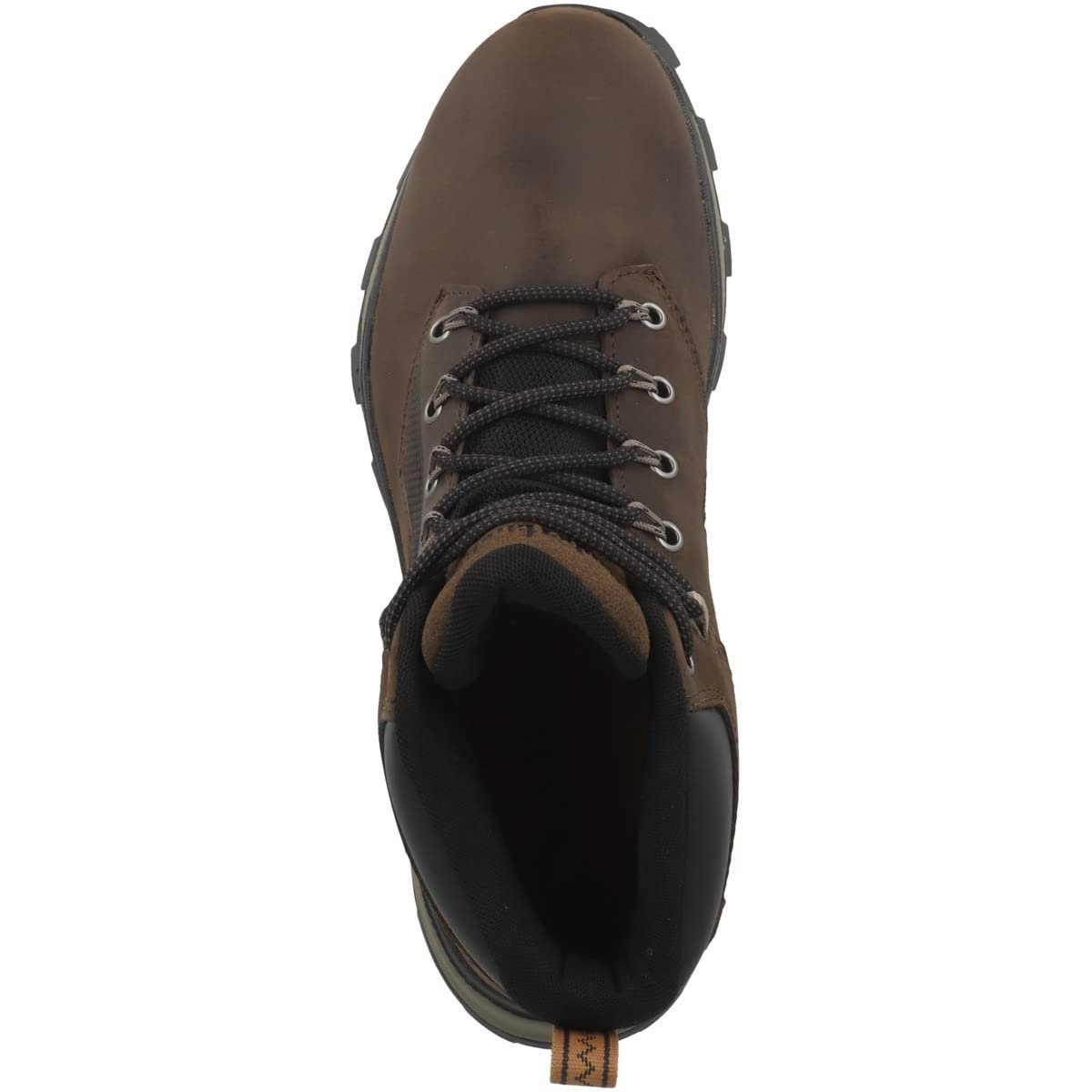 Ботинки Timberland Treeline TB0A2EC69311 - DKBRN, фото №2
