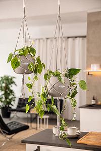 Подвес для кашпо Lechuza Macrame Cotton Pure 90 хлопок Black 13896 synthetic.ua - Фото 1