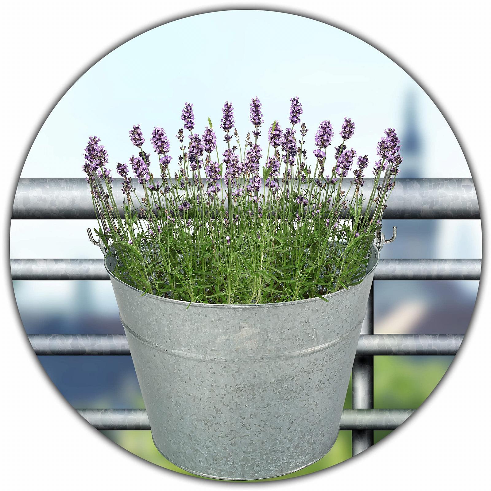 Набір підвісних горщиків 22 см металевий напівкруглий антрацит 5 шт., фото №6 Набір підвісних горщиків 22 см металевий напівкруглий антрацит 5 шт., фото №6