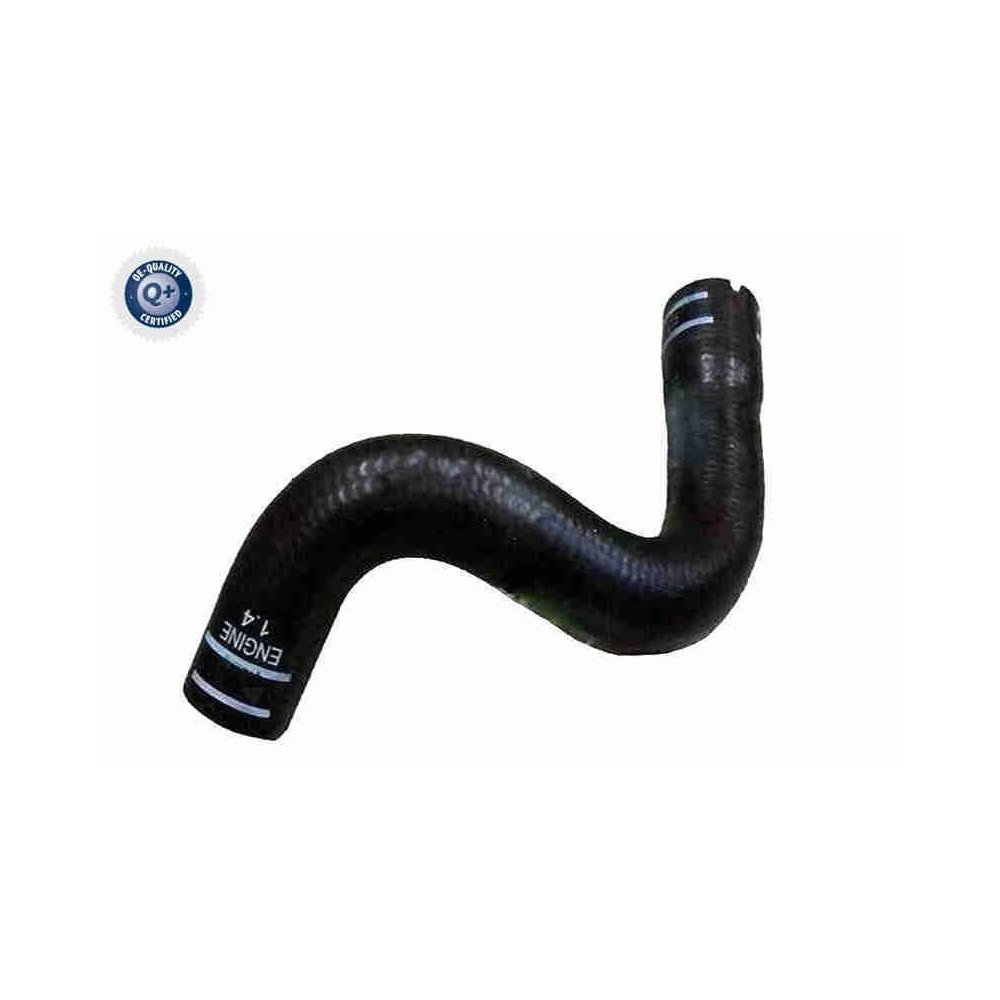 Шланг радиатора VAICO Q+ V24-1277 нижний для FIAT, фото №1