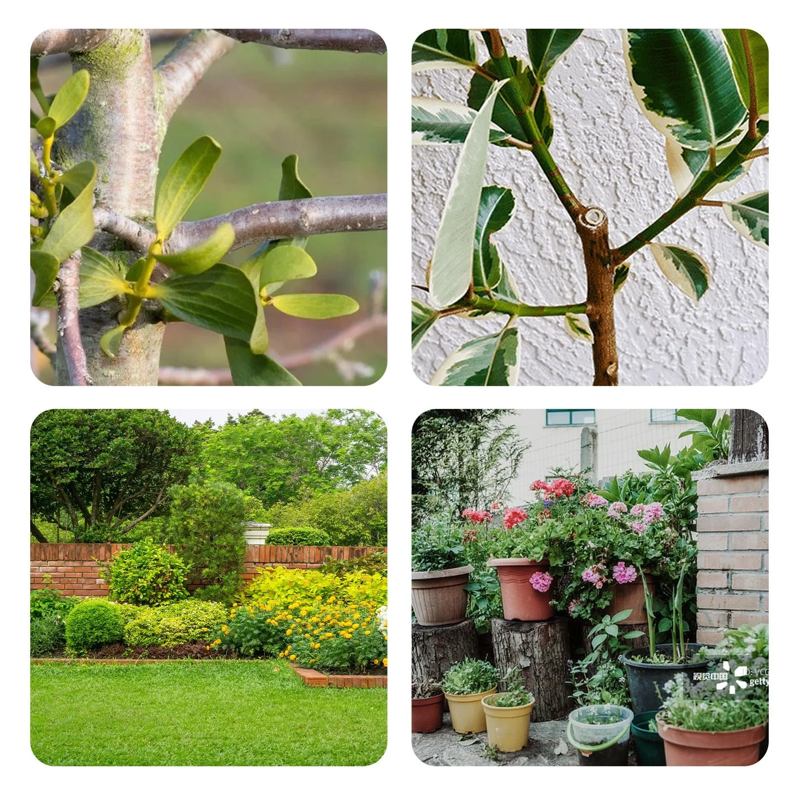 Акумуляторні ножиці Yofidra 800 Вт, діаметр різання 30 мм, фото №7