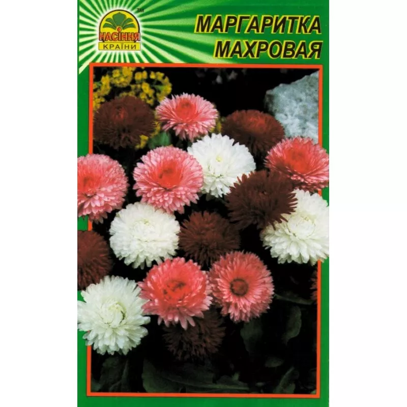 Семена Маргаритка махровая 100 шт Насіння країни, фото №1