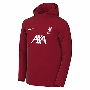Толстовка Nike Unisex Детская LFC Lk Nk Df Acdpr Hoodie Po K Top - Фото 1