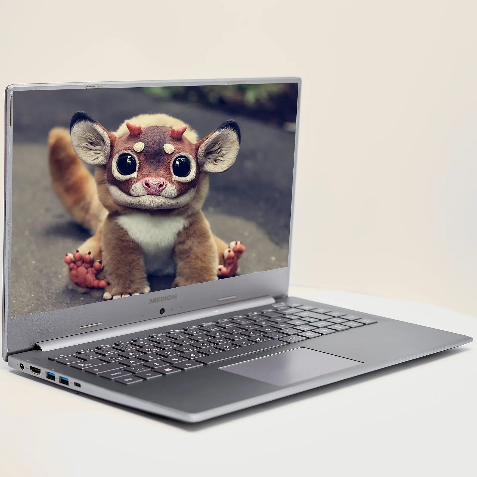 Ноутбук 15.6'' Medion (Lenovo Group) Akoya S6445 | Intel Core i5-8265U | IPS (1920x1080) FullHD | RAM 8 ГБ | SSD 256 ГБ | Intel UHD Graphics 620 | Металевий корпус | Win11 (4979), фото №4 Ноутбук 15.6'' Medion (Lenovo Group) Akoya S6445 | Intel Core i5-8265U | IPS (1920x1080) FullHD | RAM 8 ГБ | SSD 256 ГБ | Intel UHD Graphics 620 | Металевий корпус | Win11 (4979), фото №4