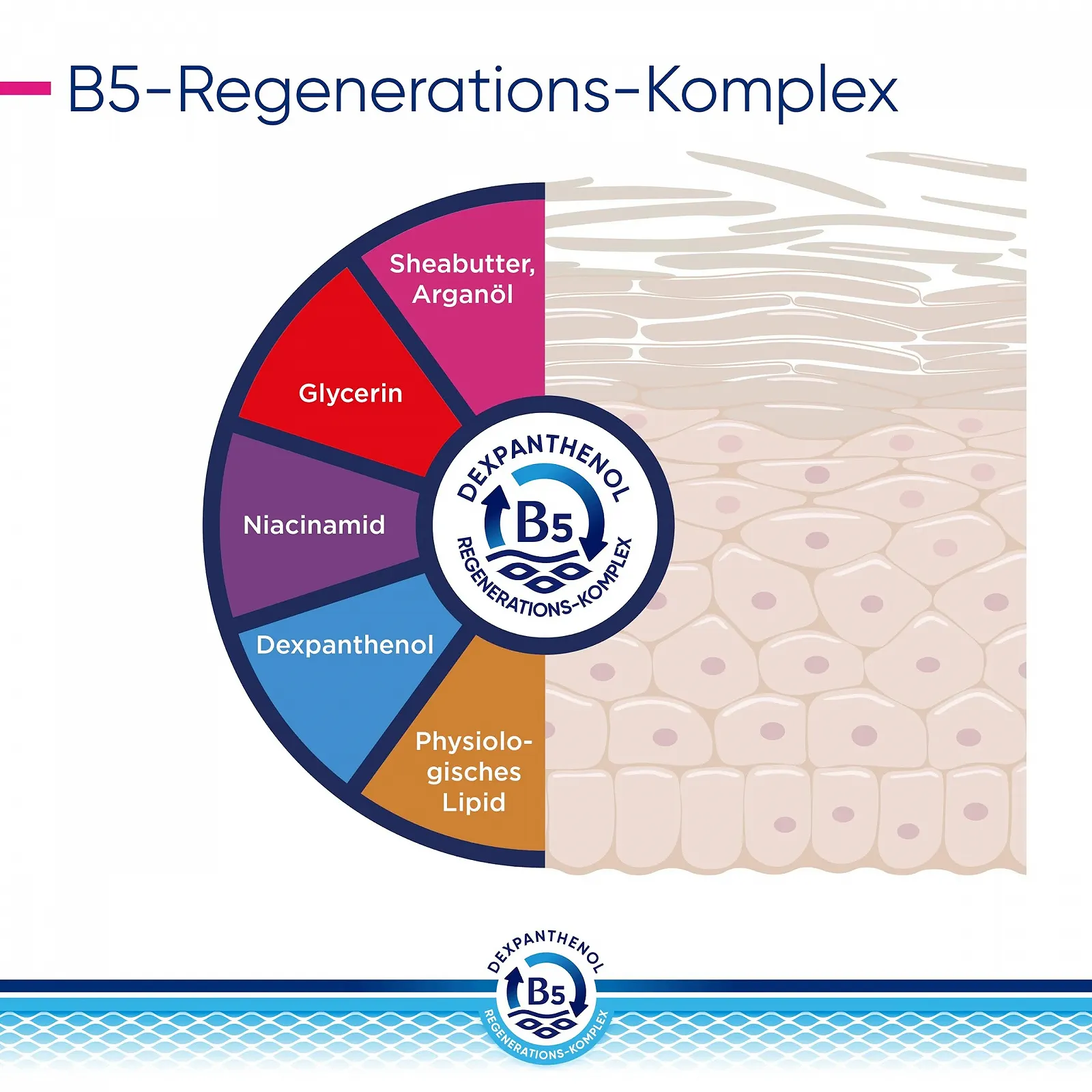 Лосьон для тела Bepanthol Derma Regenerating, уход за чувствительной и очень сухой кожей, увлажняющий крем с декспантенолом, 400 мл (дозатор), фото №7