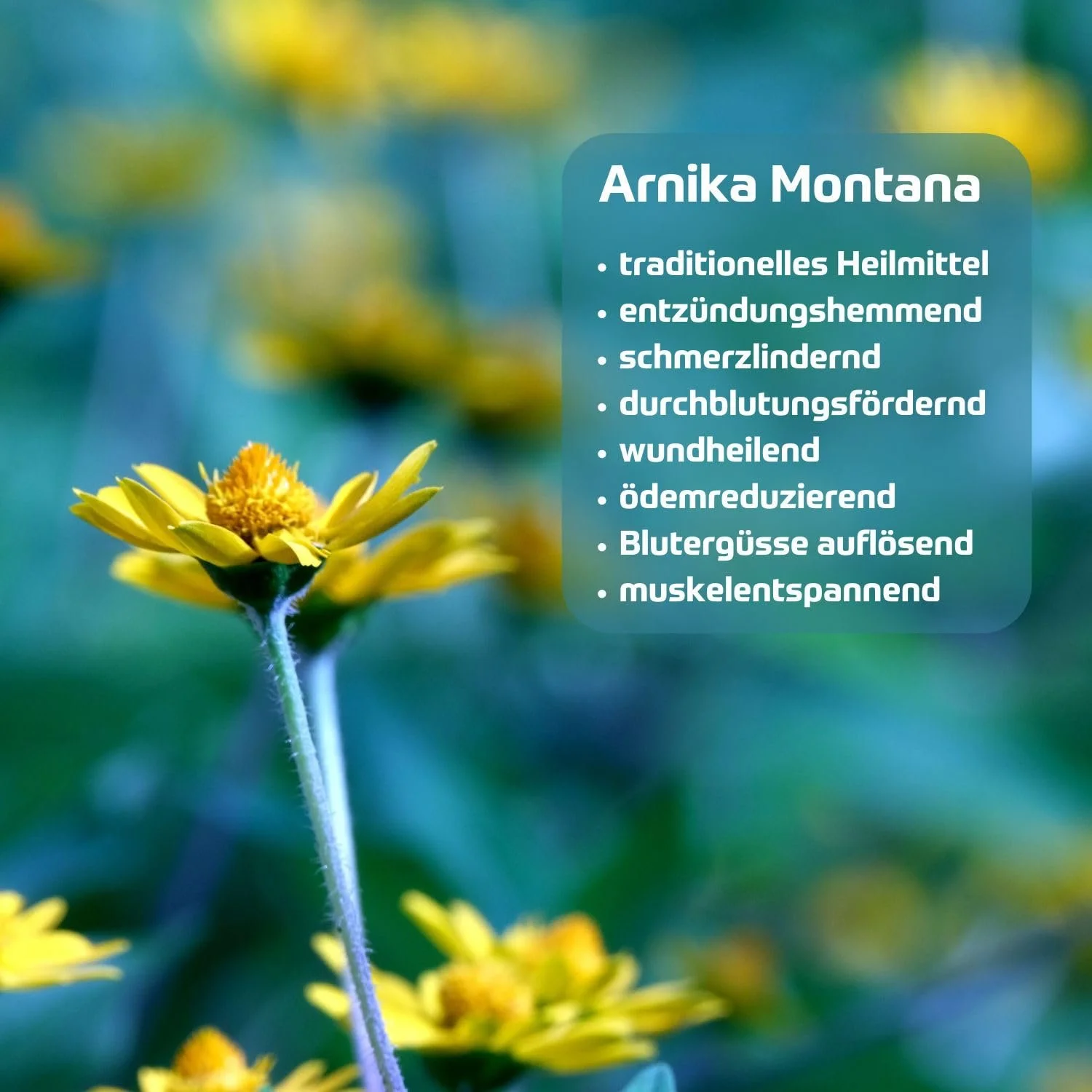 Крем для рук Rivera Arnica Intensive Без парабенов, 75 мл, фото №5