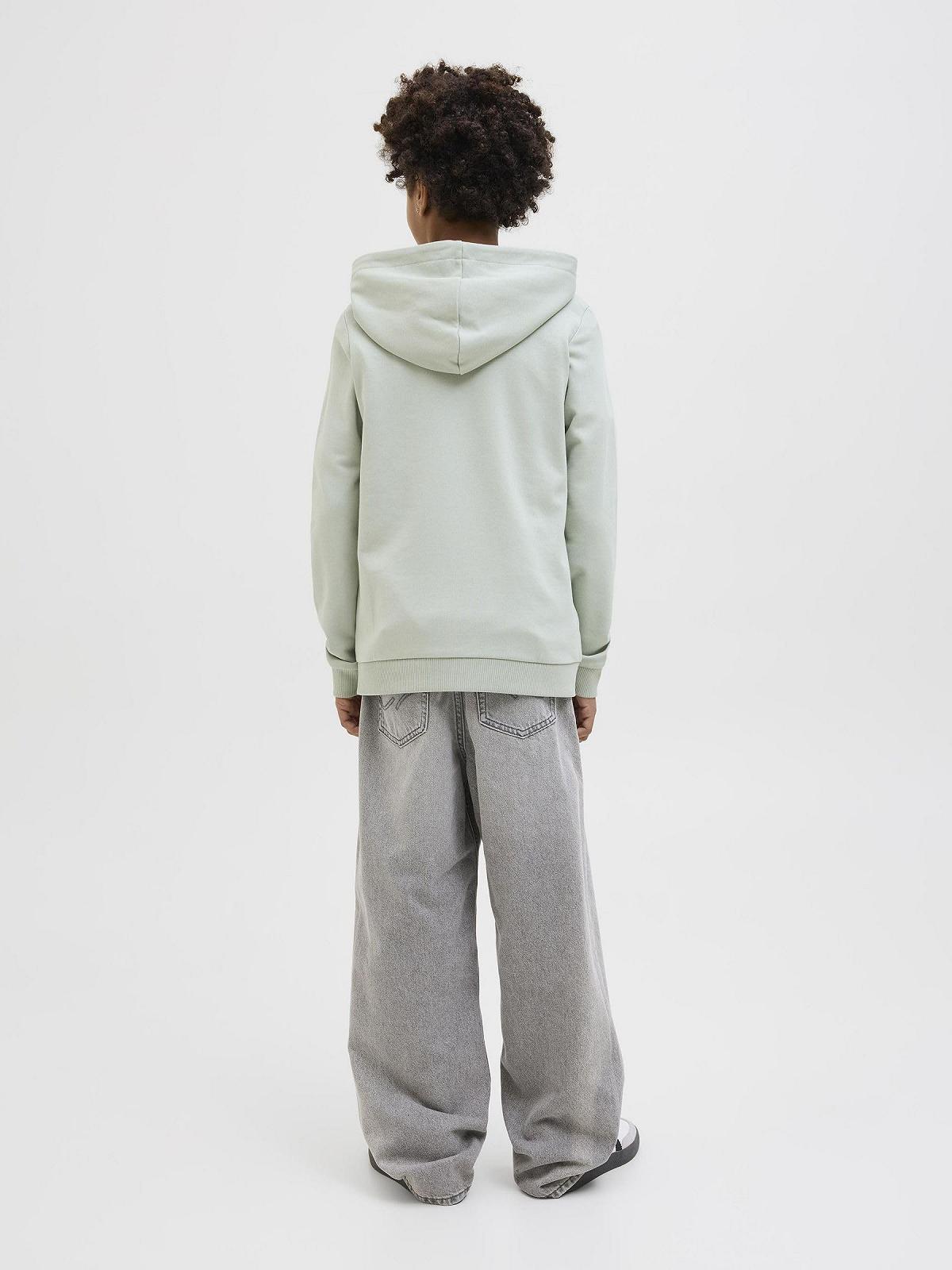 Худі JACK & JONES для хлопчика з принтом, Junior, фото №3