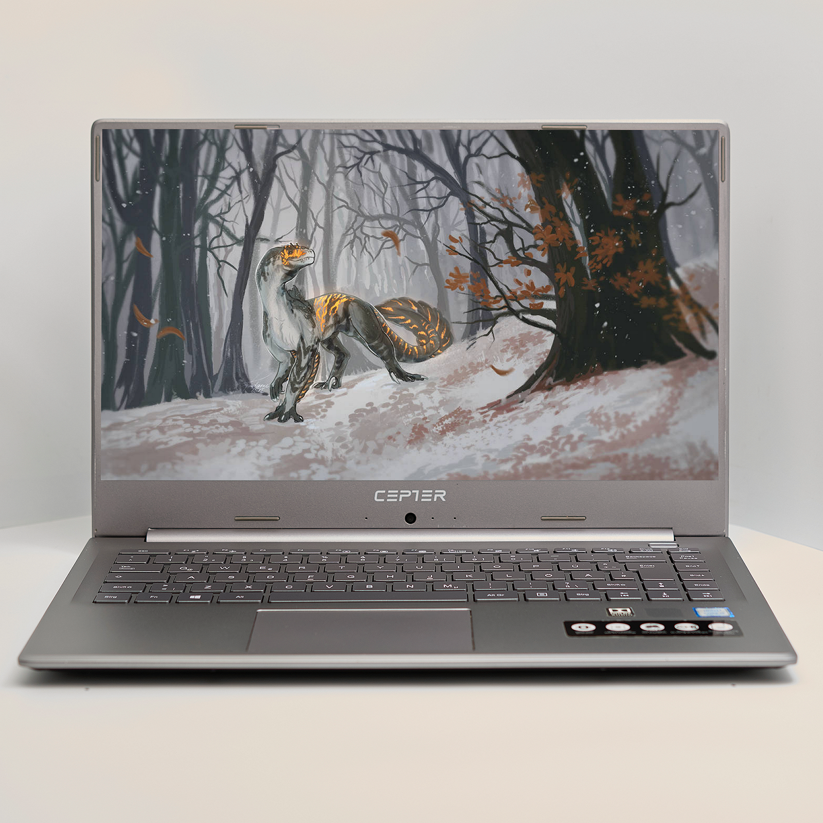 Ноутбук 15.6'' Medion (Lenovo Group) Akoya P15649 | Intel Core i5-8265U | IPS (1920x1080) FullHD | RAM 8 ГБ | SSD 256 ГБ | Intel UHD Graphics 620 | Металевий корпус | Win11 (5015), фото №1