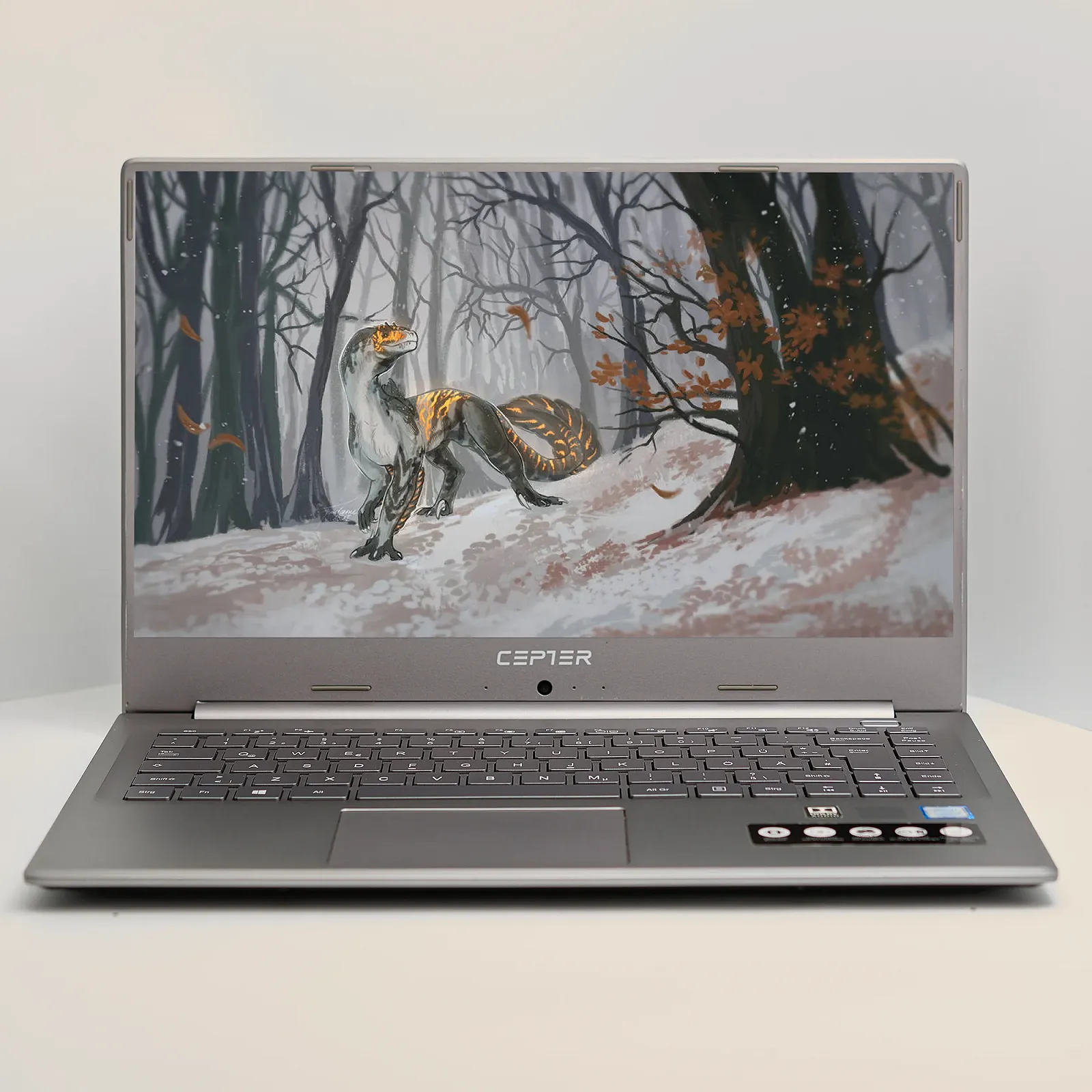 Ноутбук 15.6'' Medion (Lenovo Group) Akoya P15649 | Intel Core i5-8265U | IPS (1920x1080) FullHD | RAM 8 ГБ | SSD 256 ГБ | Intel UHD Graphics 620 | Металевий корпус | Win11 (5015), фото №1