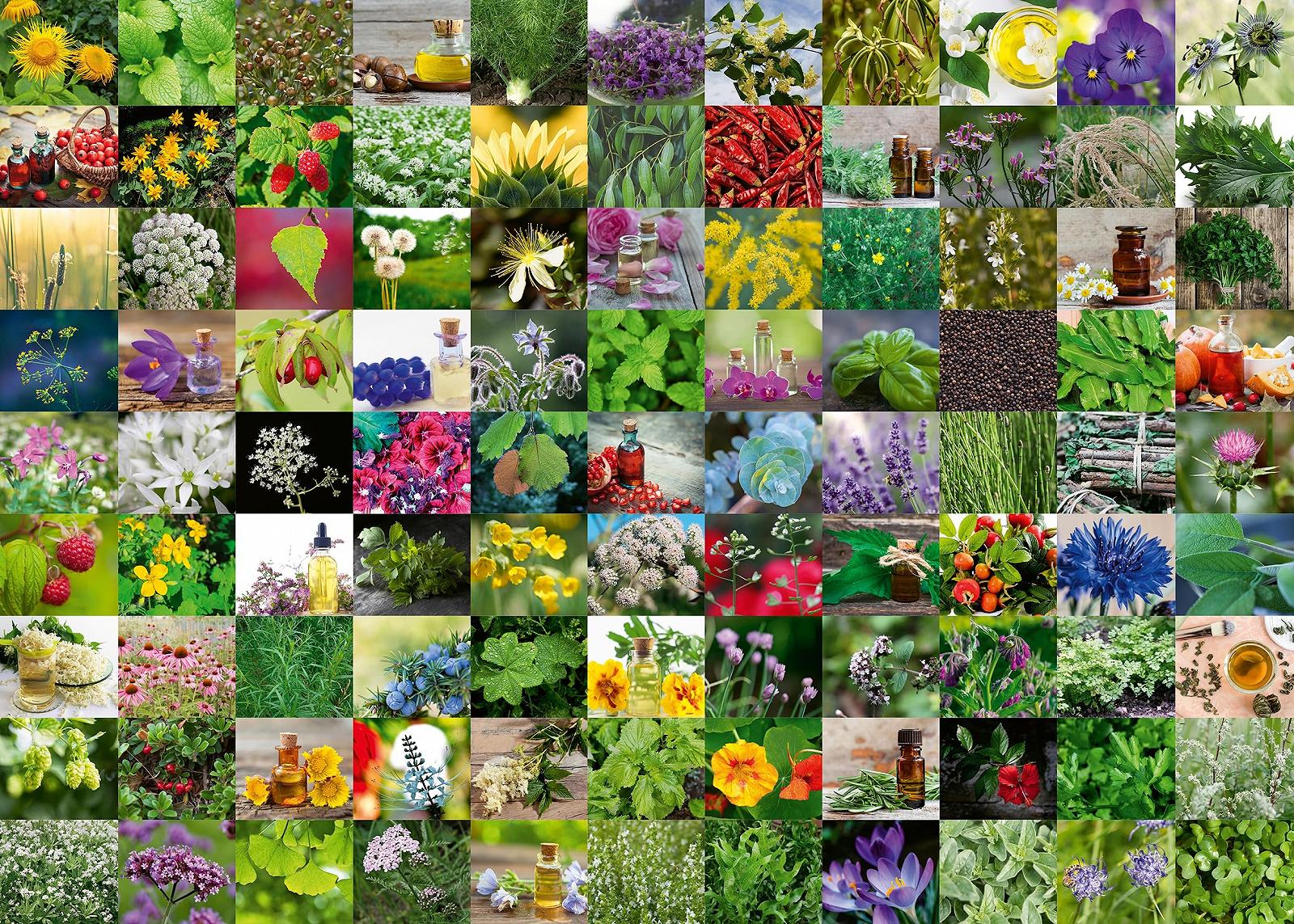 Пазл Ravensburger 12000073-99 Трави та спеції 1000 деталей, фото №1