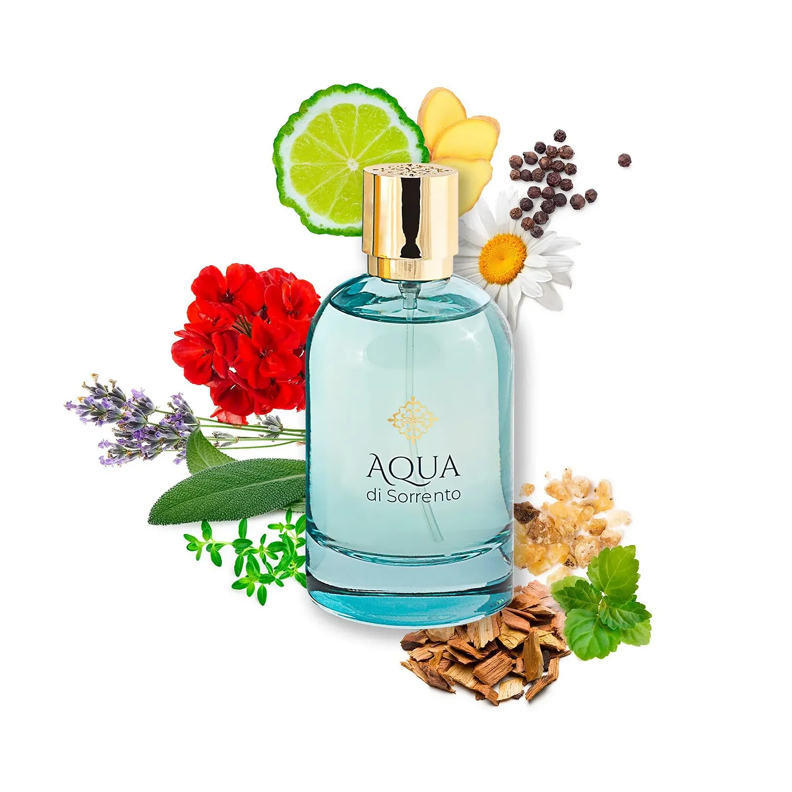 Парфюмированная вода Aqua Di Sorrento Posillipo Унисекс 100 мл, фото №4 Парфюмированная вода Aqua Di Sorrento Posillipo Унисекс 100 мл, фото №4
