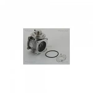 Клапан EGR TRISCAN 8813 29301 для VW - Фото 1