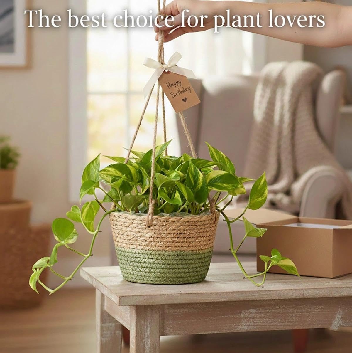 Підвісний квітковий горщик з морської трави набір з 2 штук, плетений вручну з мотузкою, 20 см, фото №7 Підвісний квітковий горщик з морської трави набір з 2 штук, плетений вручну з мотузкою, 20 см, фото №7