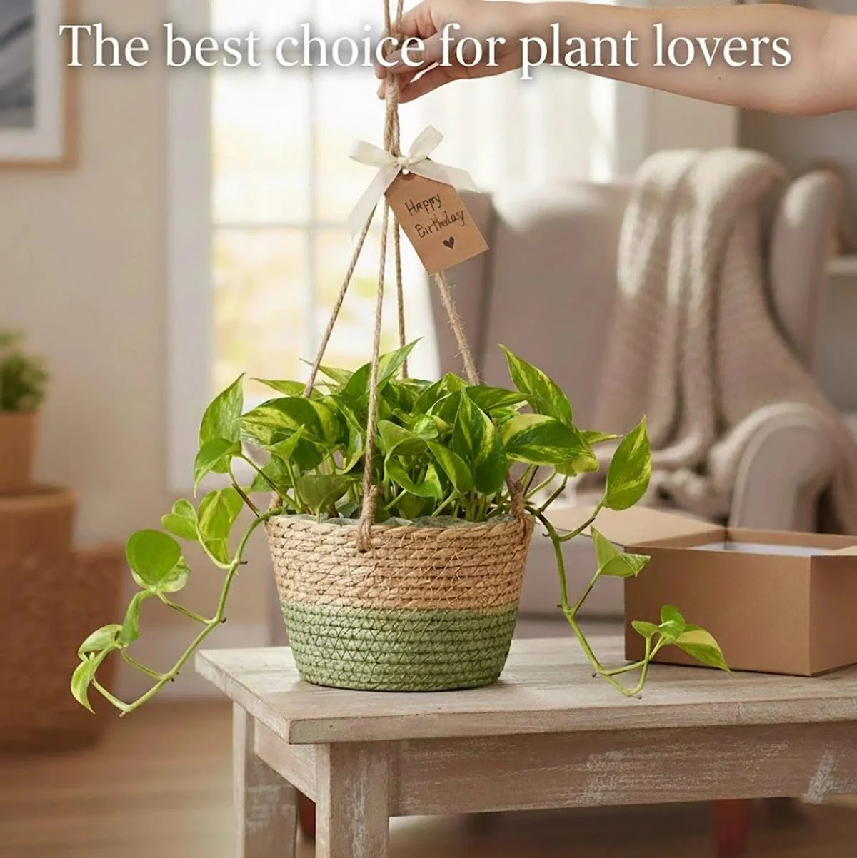 Подвесной цветочный горшок из морской травы набор из 2 штук, плетеный вручную с веревкой, 20 см, фото №7 Подвесной цветочный горшок из морской травы набор из 2 штук, плетеный вручную с веревкой, 20 см, фото №7