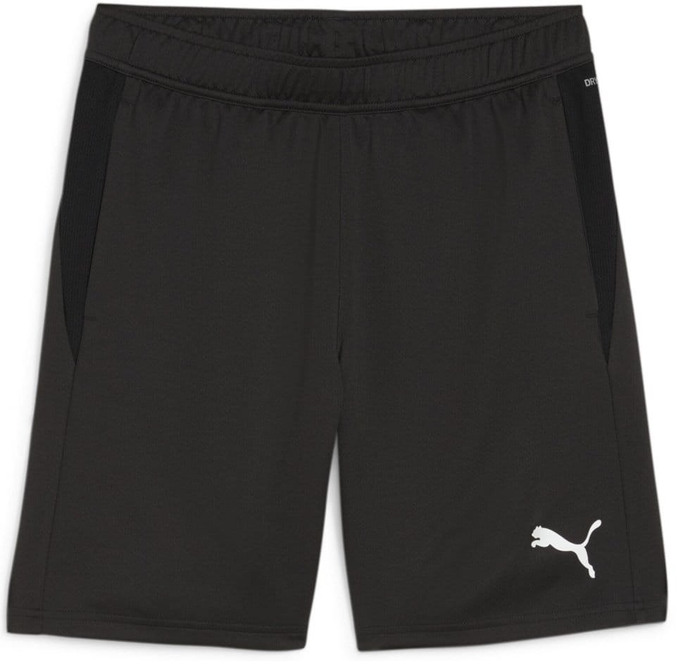 Шорты Puma teamGOAL Training 658643-03 Чёрный L, фото №1