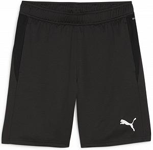 Шорты Puma teamGOAL Training 658643-03 Черный M - Фото 1