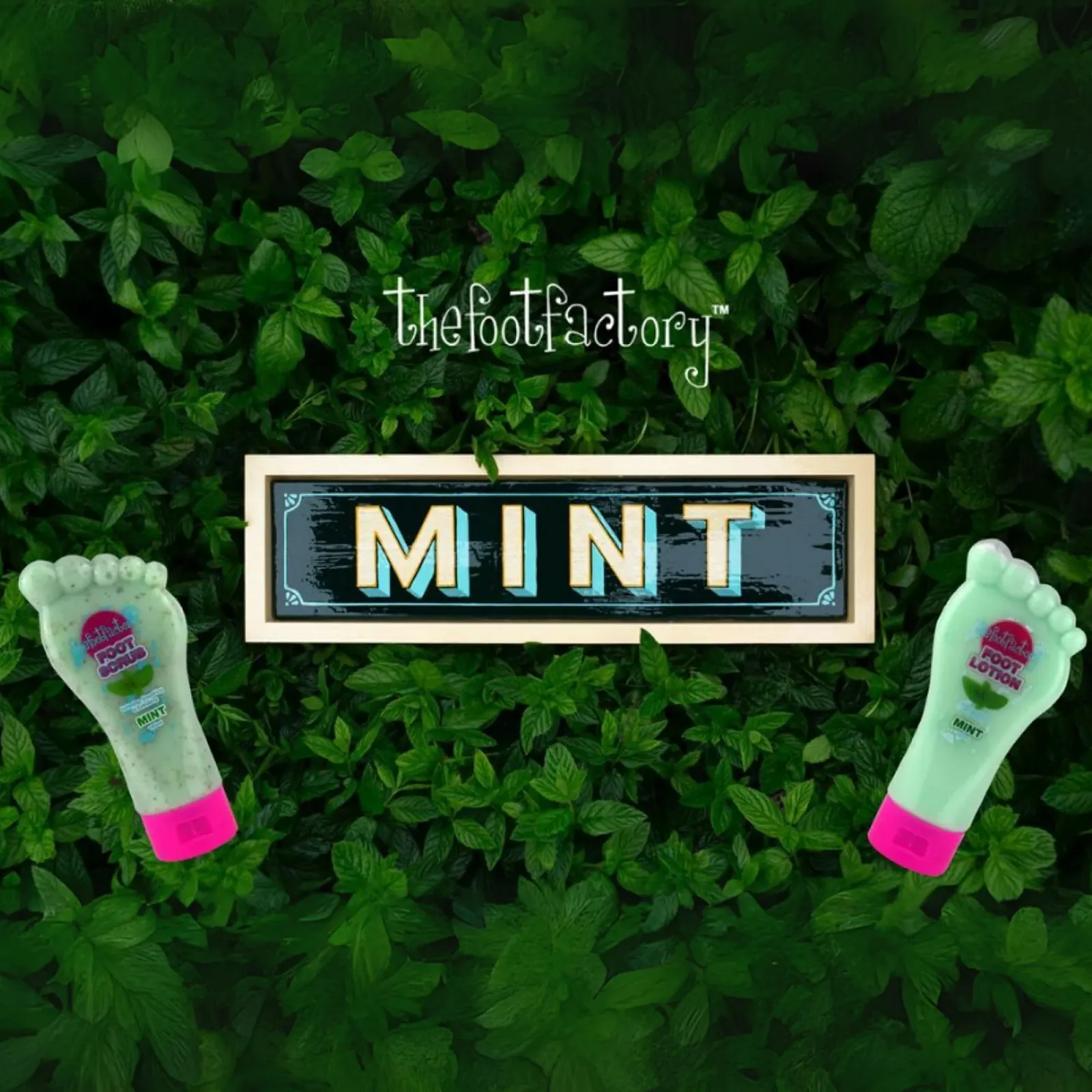 Лосьон для ног The Foot Factory Peppermint увлажняющий освежающий 180 мл, фото №5