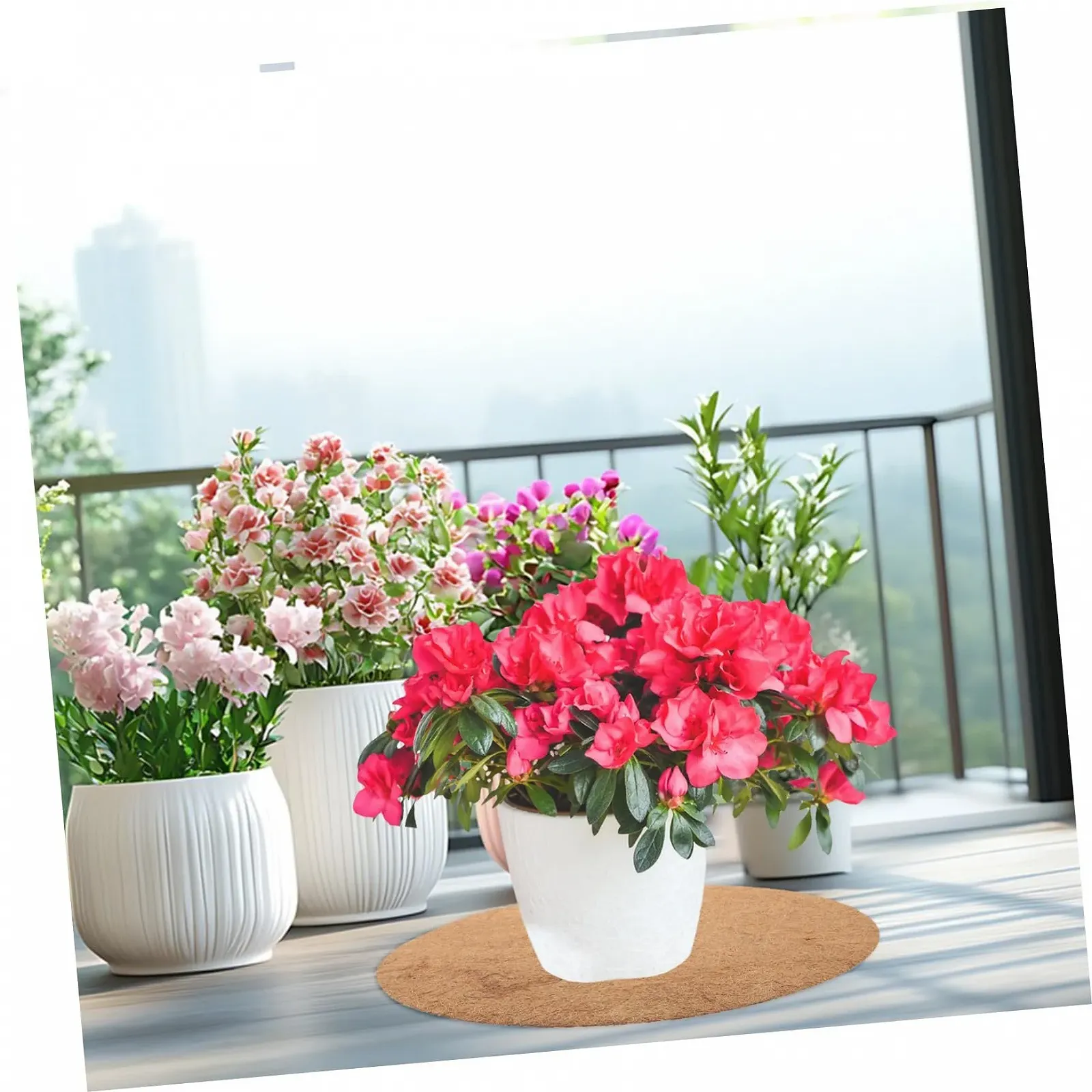 Кільця з кокосового волокна для кашпо HEMOTON Набір 4 шт. Мульчувальні декоративні, фото №9 Кільця з кокосового волокна для кашпо HEMOTON Набір 4 шт. Мульчувальні декоративні, фото №9